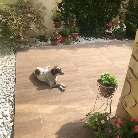 Apartman Garden House Monte Mario