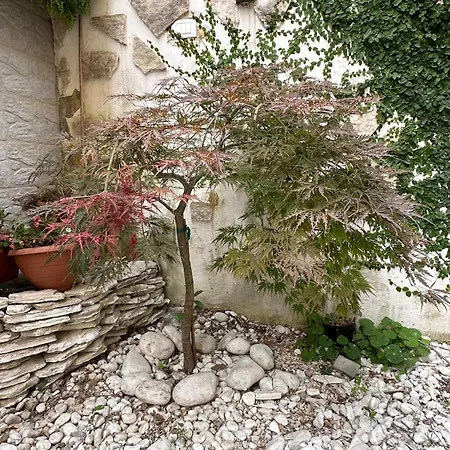 Garden House Monte Mario * Róma